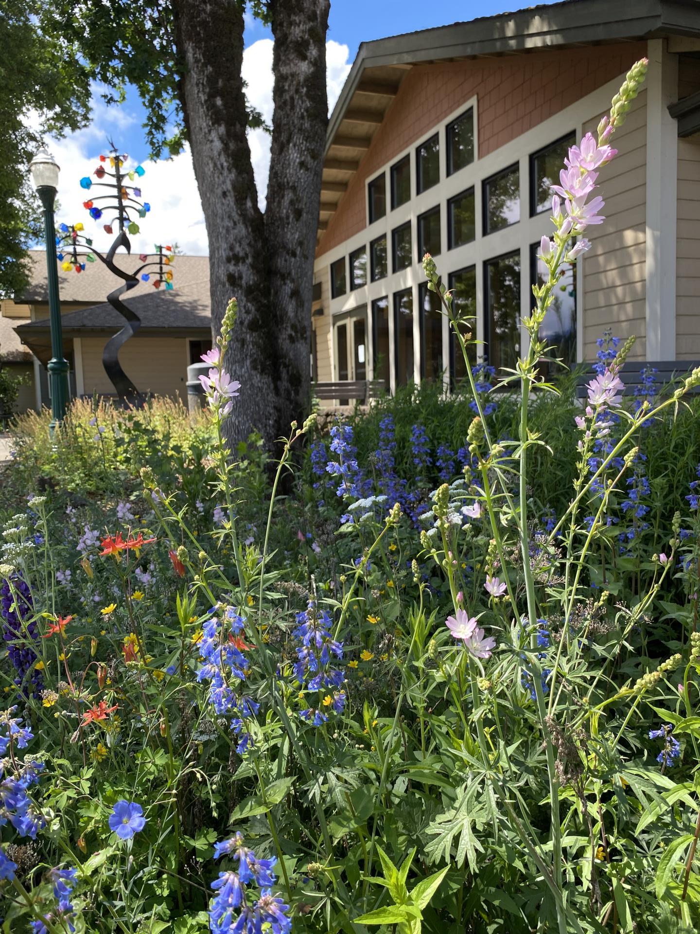 flowers bloom in spring 2020 in front of Hegewald