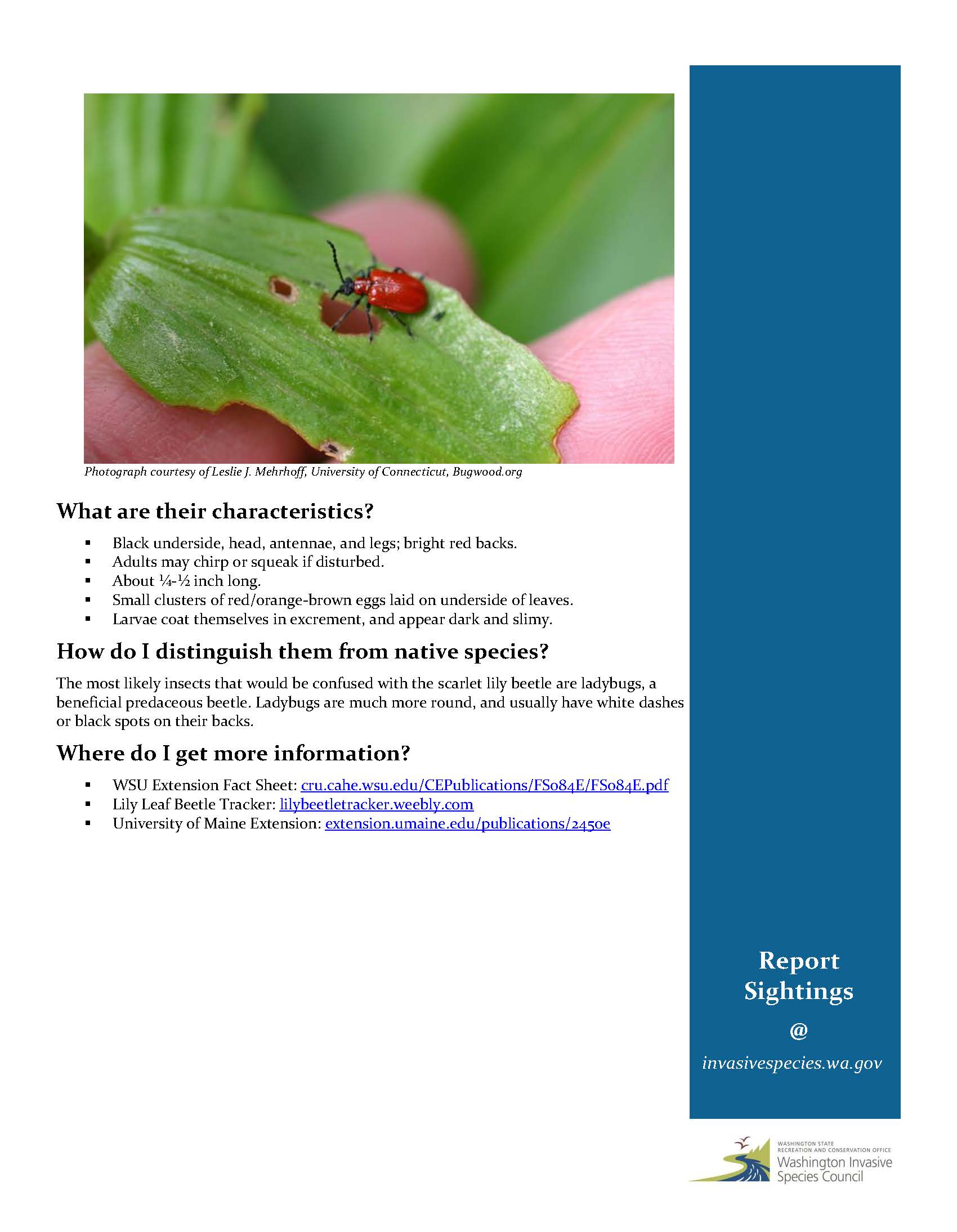 ScarletLilyBeetle-FactSheet_Page_2