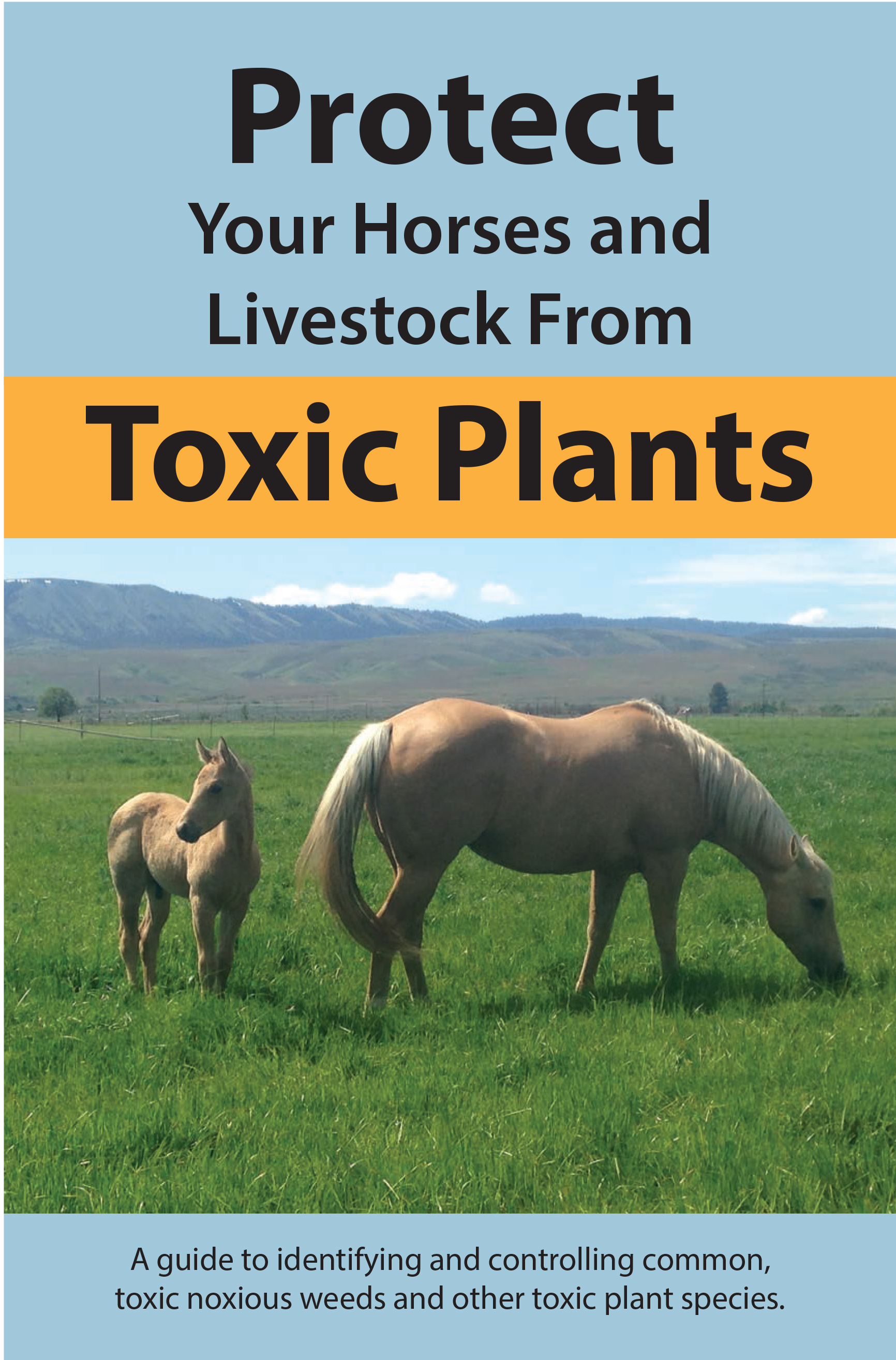 protect your horses and livestock from toxic plants a guide to identifying and controlling common, toxic noxious weeds and other toxic plant species