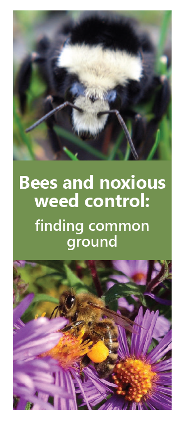 Bees and noxious weed control: finding common ground