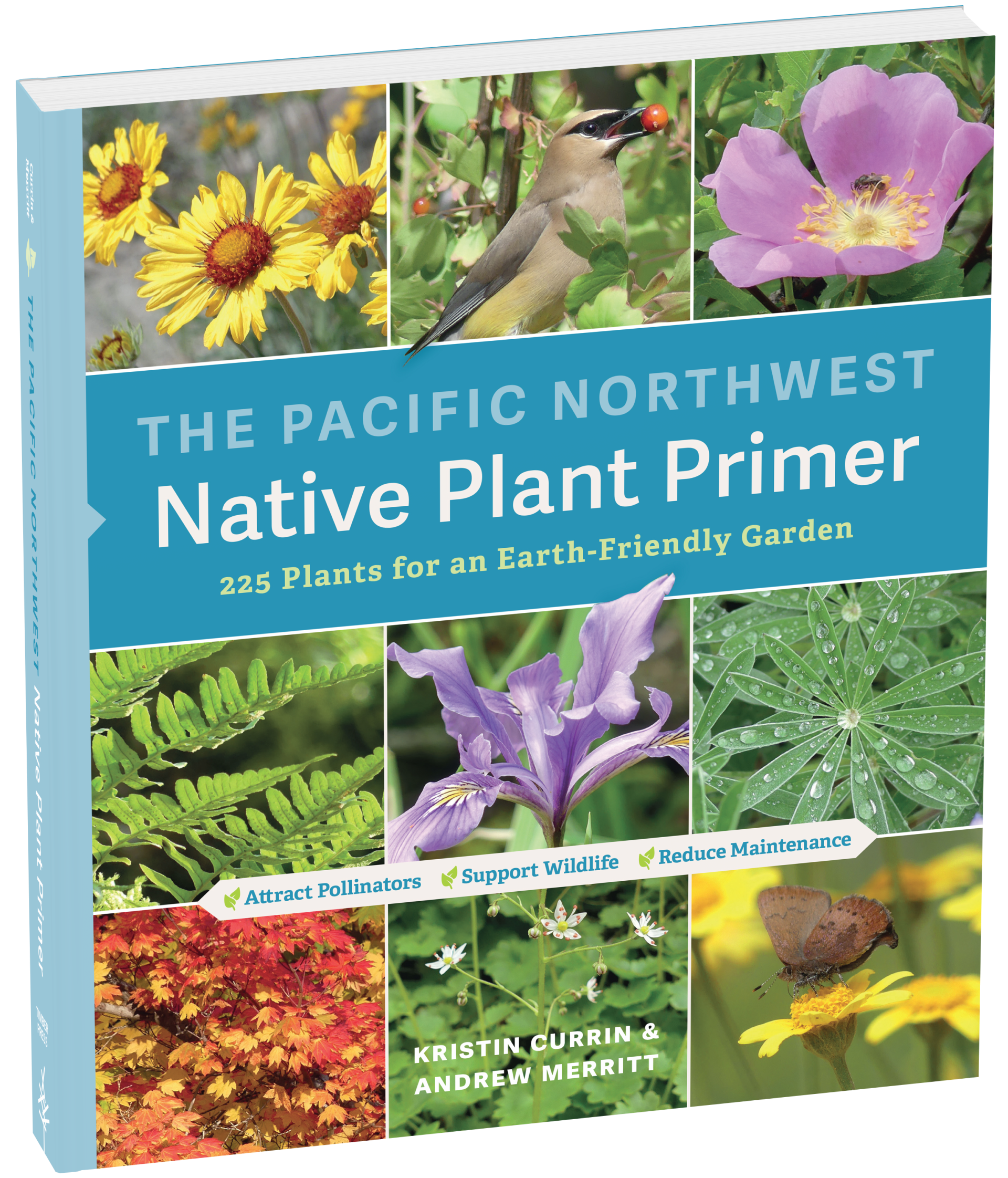 PNW Native Plant Primer 225 plants for an earth friendly garden; attract pollinators, support wildlife, reduce maintenance; Kristin Currin & Andrew Merritt