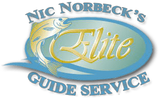 Elite Guide Service