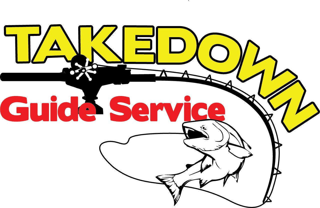 Take Down Guide Service