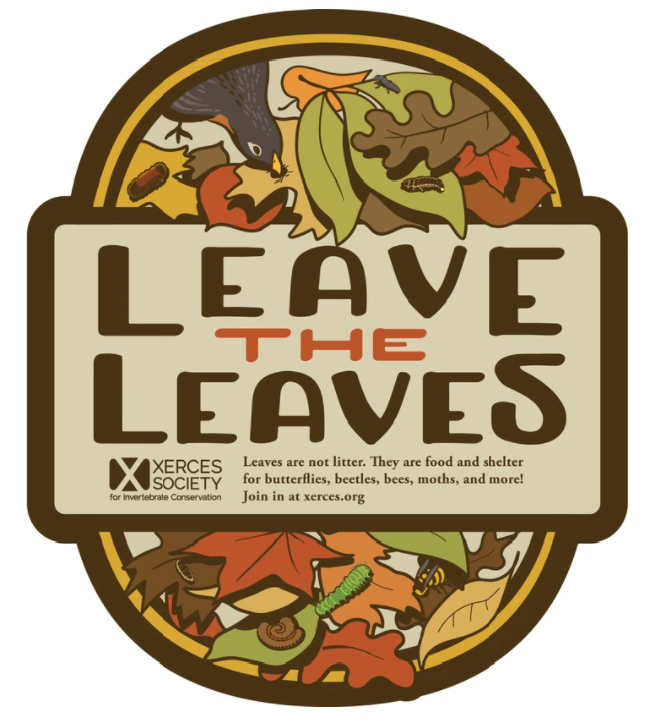 Leaves are not litter. They are food and shelter for butterflies, beetles, bees, moths, and more! Join in at xerces.org