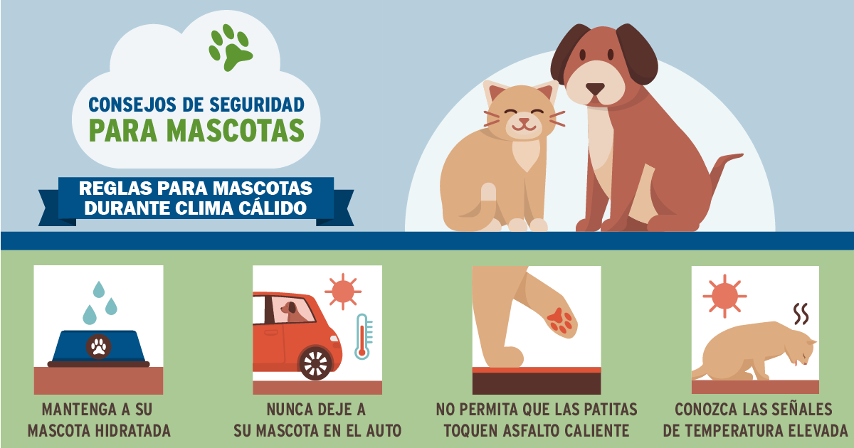 4B ready_pet-safety_HEAT_spanish