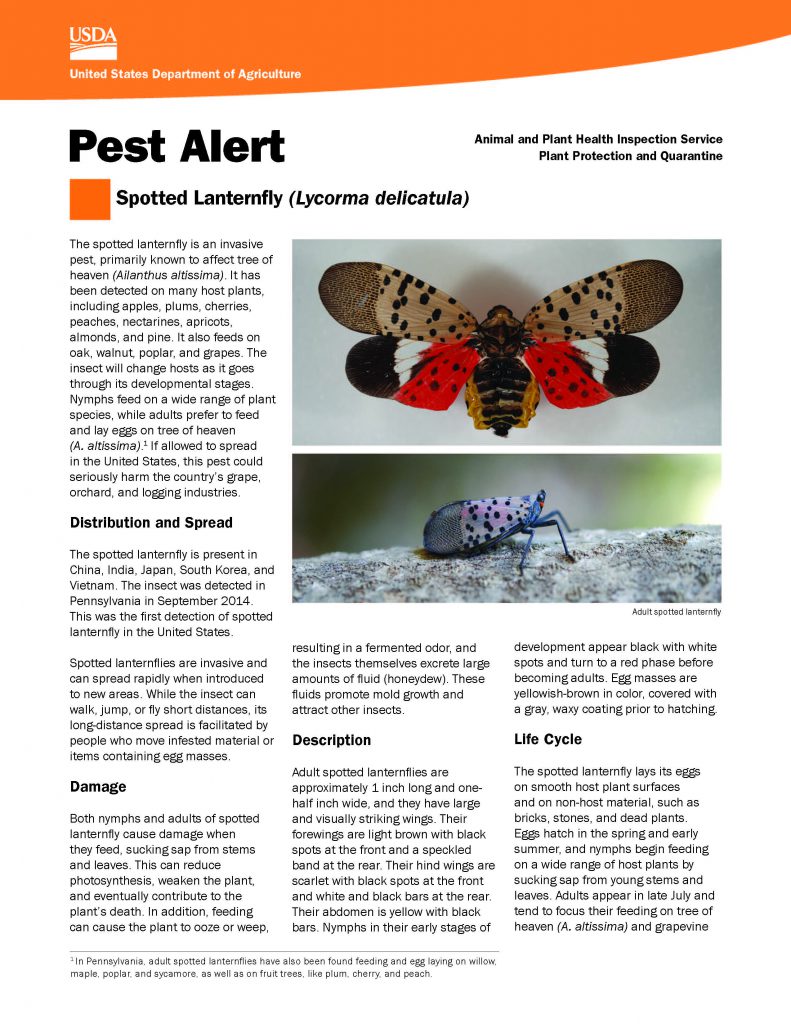 alert_spotted_lanternfly_Page_1-791x1024