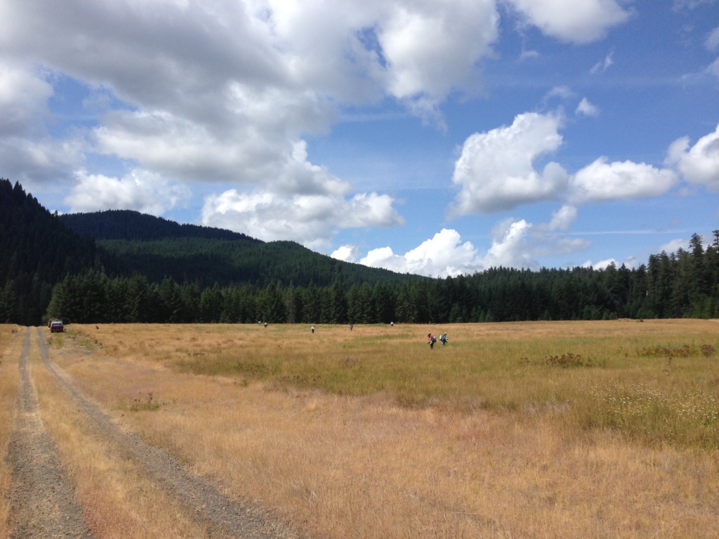 SCNWCP crew controlling thistles on an important elk range