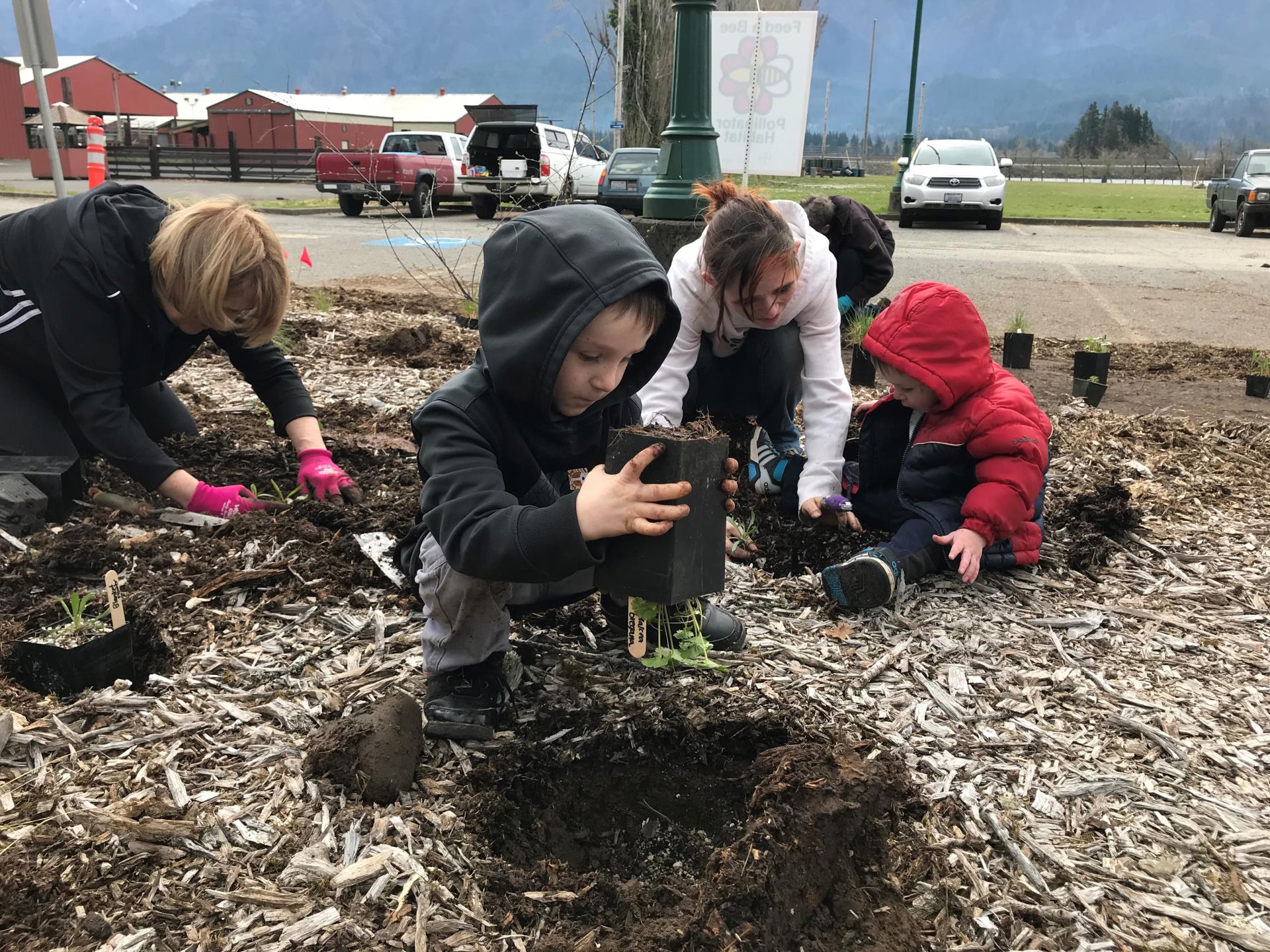 Volunteers help install over 1,000 native plants at the Hegewald Center Demonstration Garden!